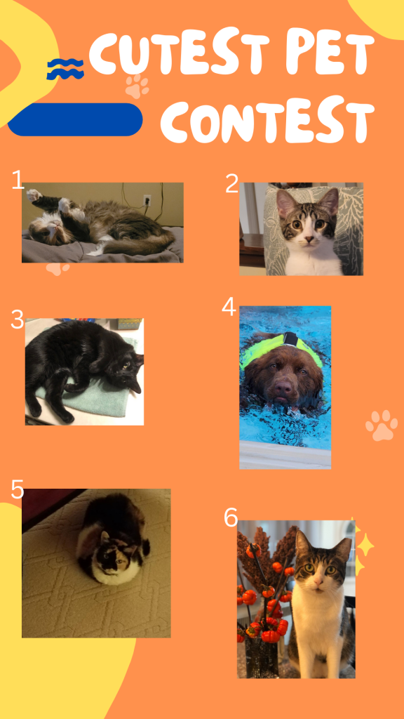 Vote for your favorite DHR Cutest Pet. Send number of picture for your