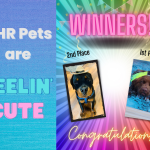 DHR cutest pet 1st and 2nd winners