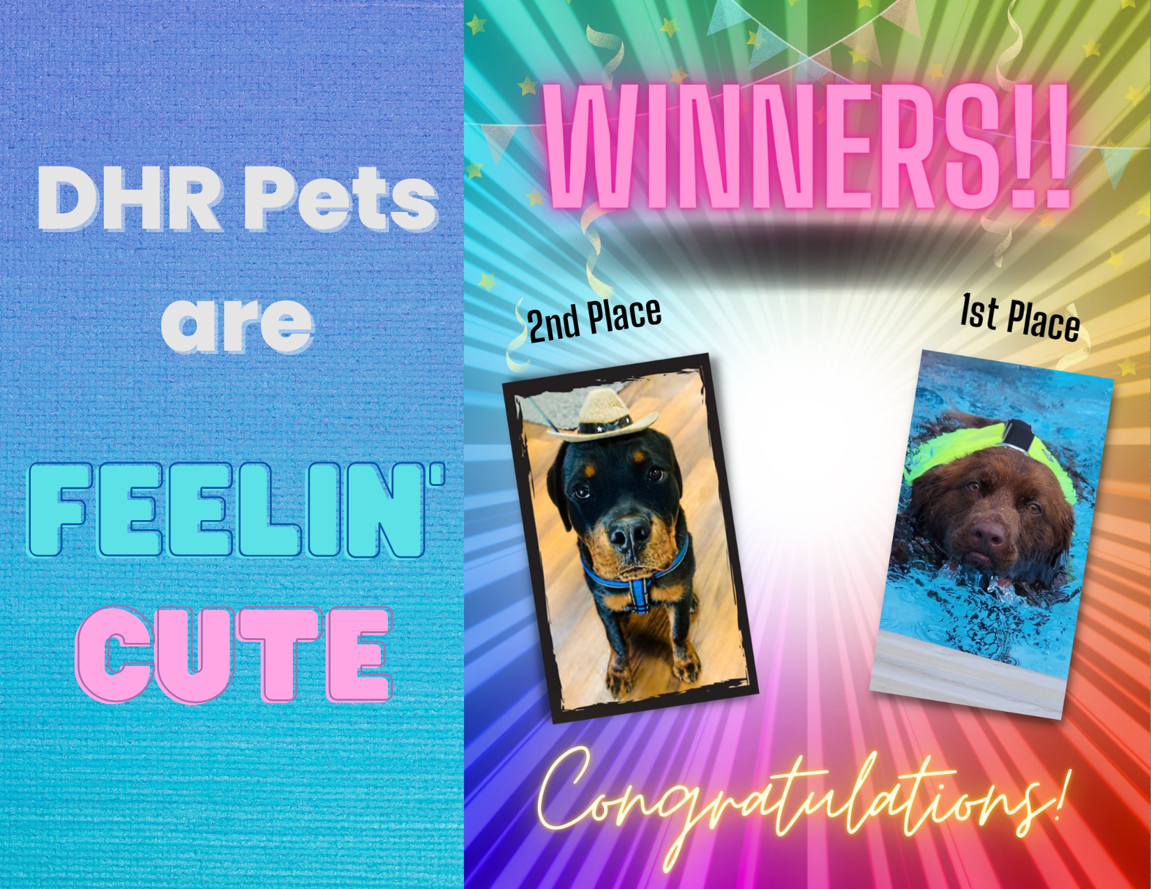 DHR cutest pet 1st and 2nd winners