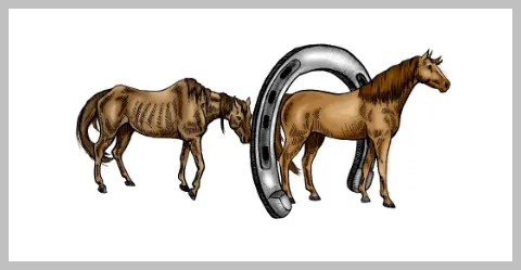Changing Fates Equine Rescue of Delaware logo