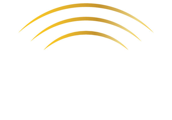 Delaware Academy of Vocal Arts DBA Elevate Vocal Arts logo