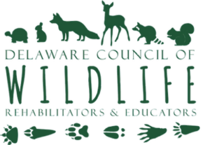Delaware Council of Wildlife Rehabilitators and Educators  logo