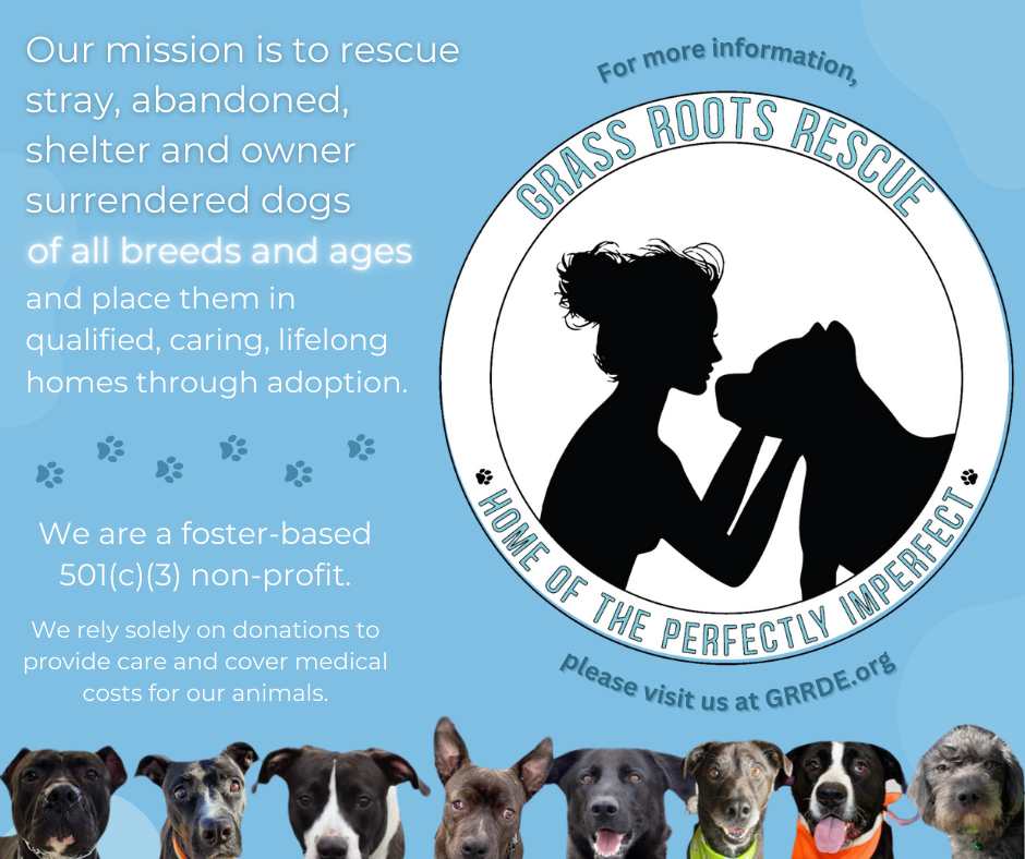 Grass Roots Rescue (GRR) logo