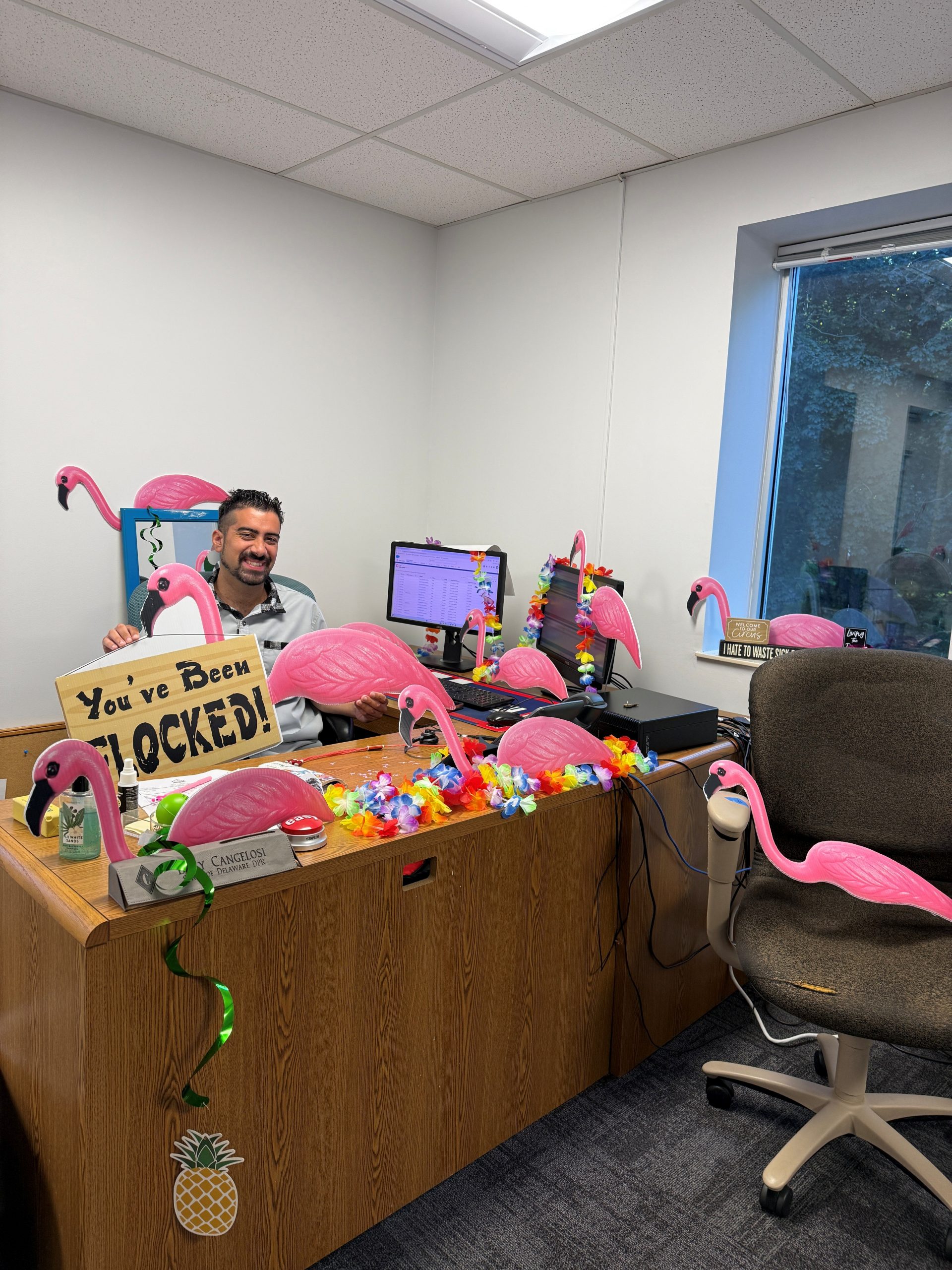 Flocking Billy